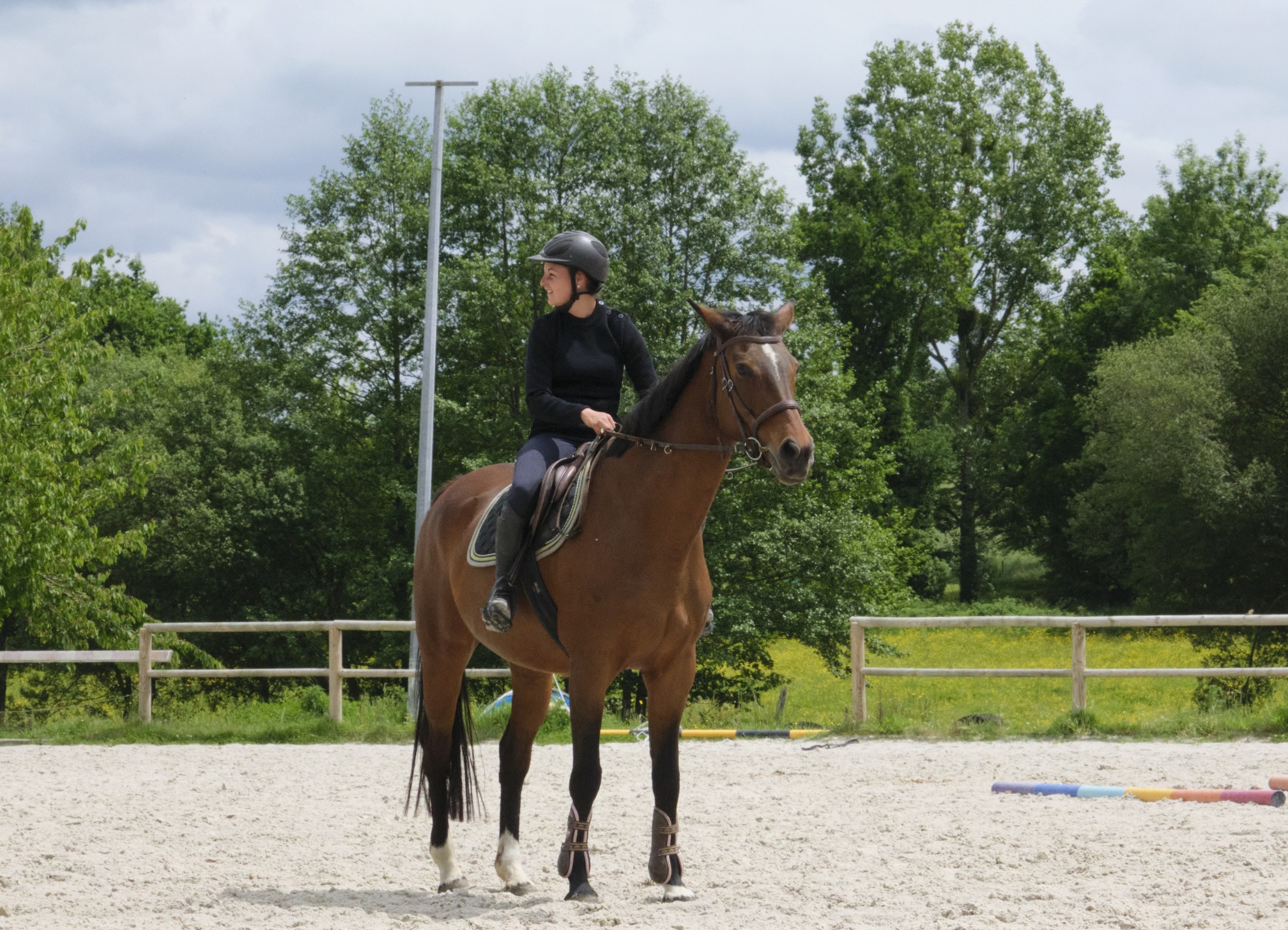 pull équitation mixte