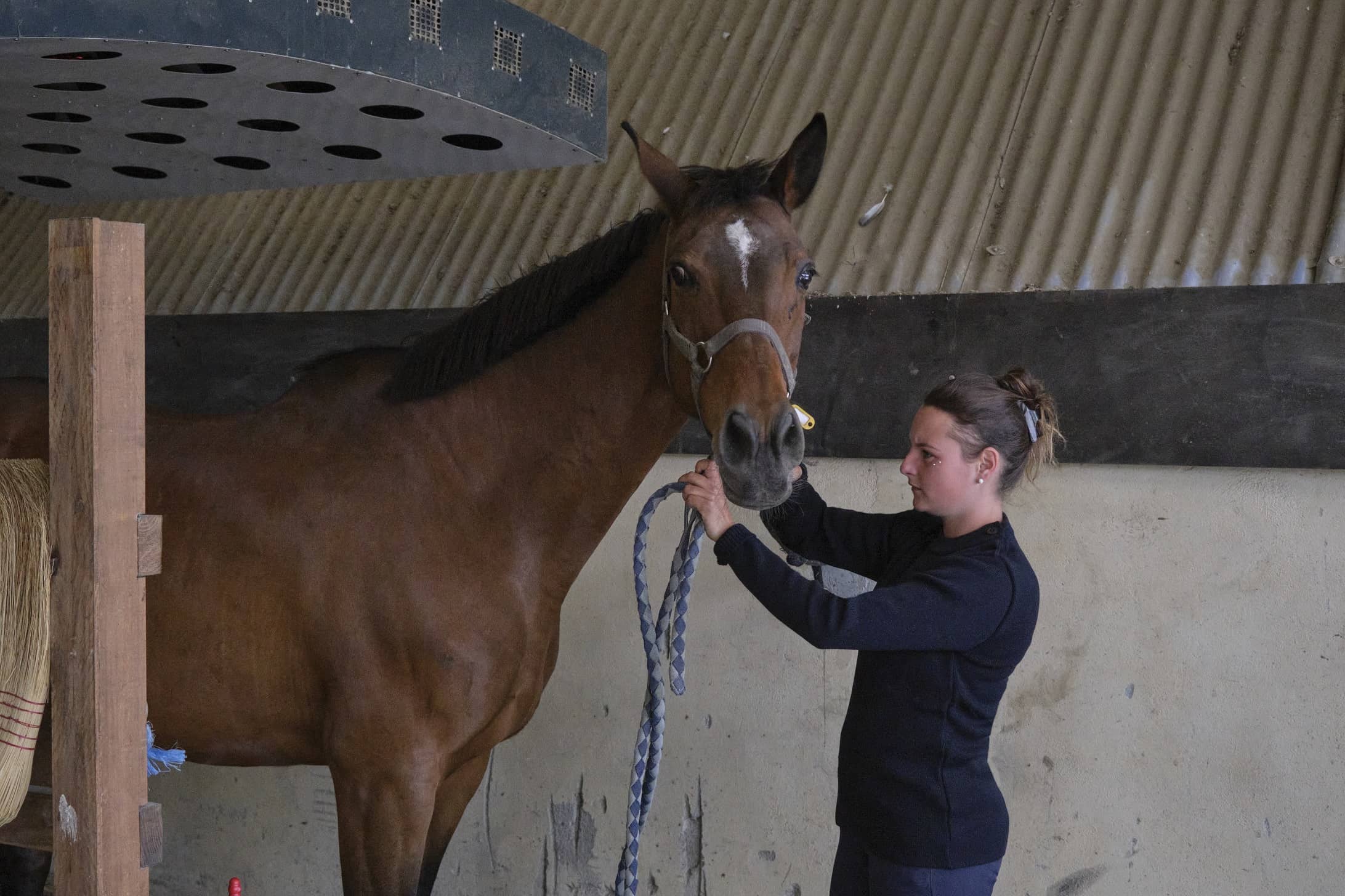 pull cavalière équitation