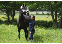 pull équitation pour cavalier cavalière laine France Breizh Cycliste